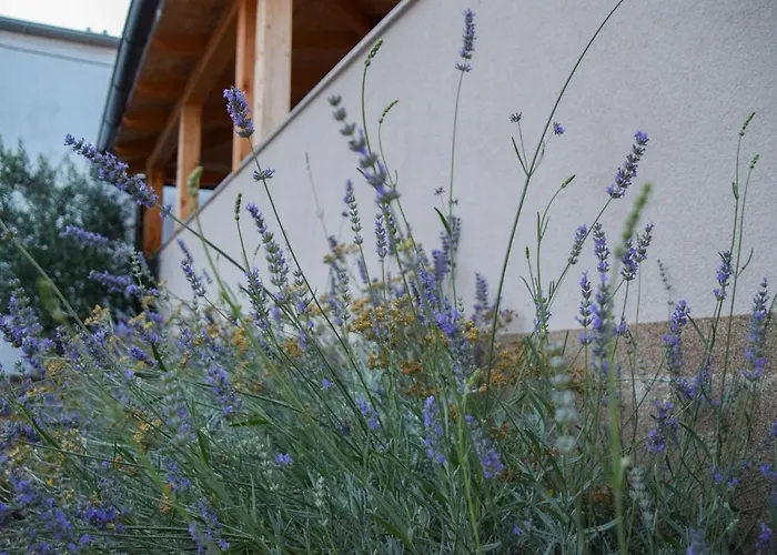 Dina 1 Apartment Posedarje